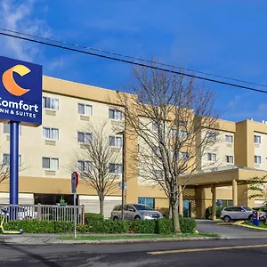 Comfort & North Seattle