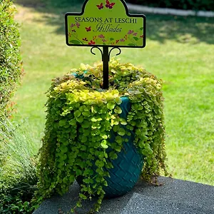 Apartment Seasons At Leschi Hillsides, Seattle